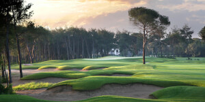 Montgomerie Maxx Royal Golf Club - Image 4