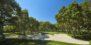 Real Club Valderrama Golf Club - 8th Hole