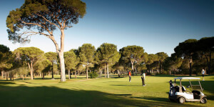 Nobilis Golf Club - Image 2
